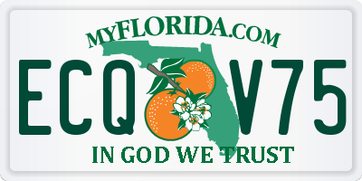 FL license plate ECQV75