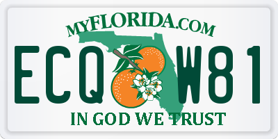 FL license plate ECQW81