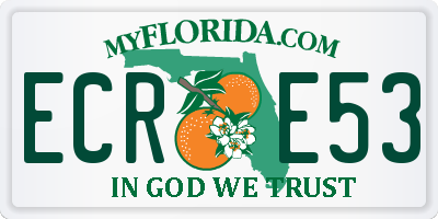 FL license plate ECRE53