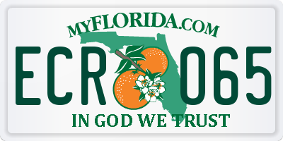 FL license plate ECRO65