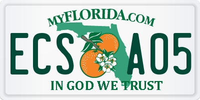 FL license plate ECSA05