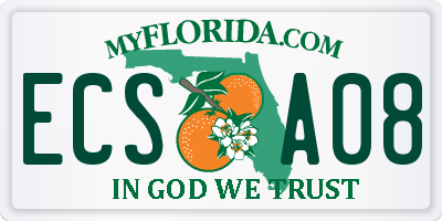 FL license plate ECSA08