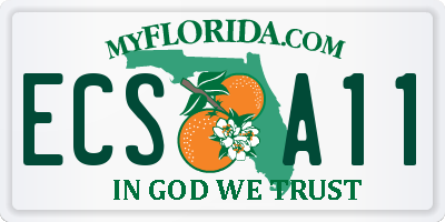 FL license plate ECSA11