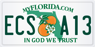 FL license plate ECSA13