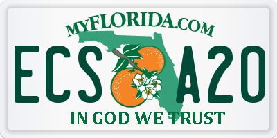 FL license plate ECSA20