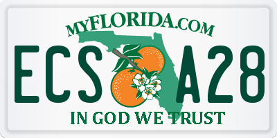 FL license plate ECSA28