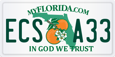 FL license plate ECSA33