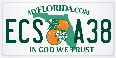 FL license plate ECSA38
