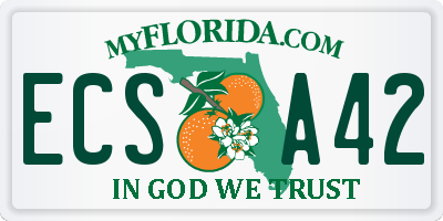 FL license plate ECSA42