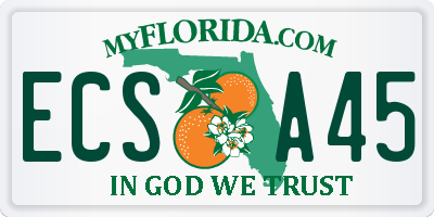 FL license plate ECSA45