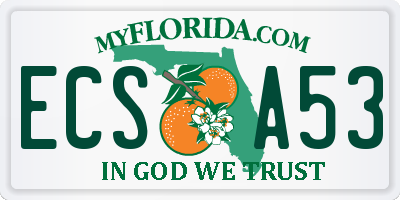 FL license plate ECSA53