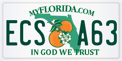 FL license plate ECSA63
