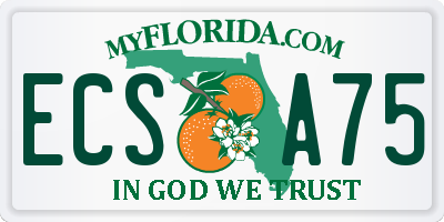 FL license plate ECSA75