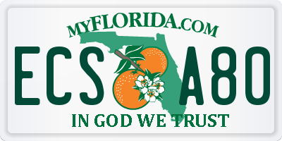 FL license plate ECSA80