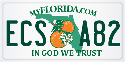 FL license plate ECSA82
