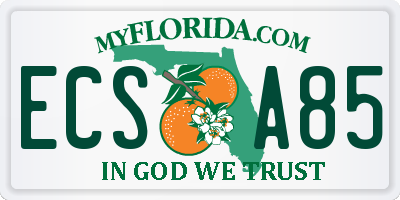 FL license plate ECSA85