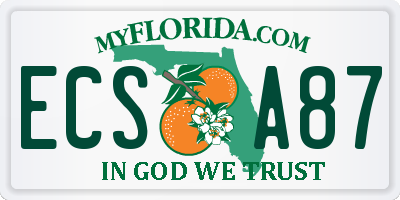FL license plate ECSA87