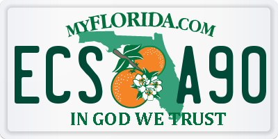 FL license plate ECSA90