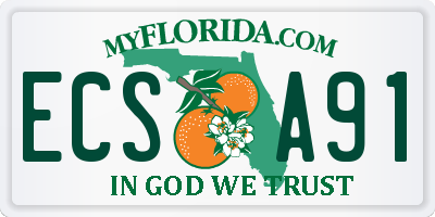 FL license plate ECSA91