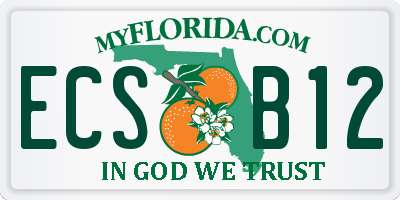 FL license plate ECSB12
