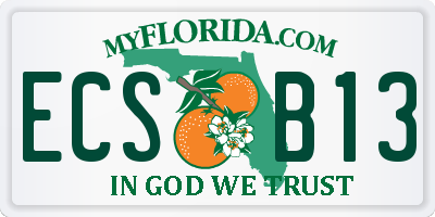 FL license plate ECSB13