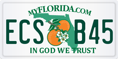 FL license plate ECSB45