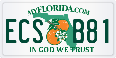FL license plate ECSB81