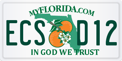 FL license plate ECSD12