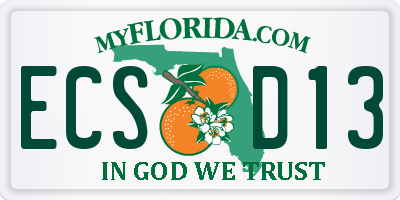 FL license plate ECSD13