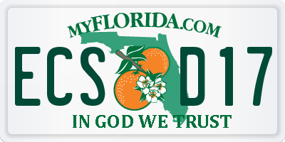 FL license plate ECSD17