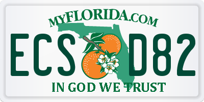 FL license plate ECSD82