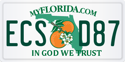 FL license plate ECSD87