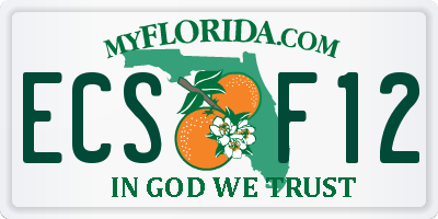 FL license plate ECSF12
