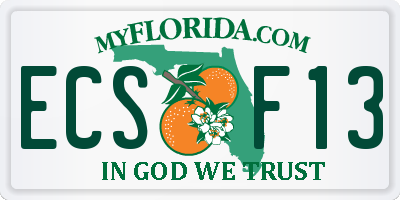 FL license plate ECSF13