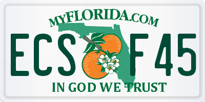FL license plate ECSF45