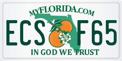 FL license plate ECSF65