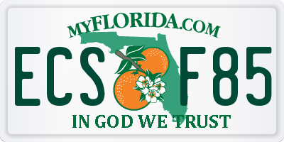 FL license plate ECSF85