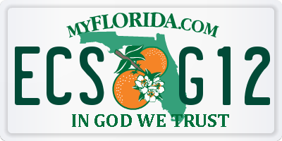 FL license plate ECSG12