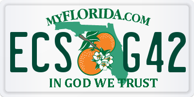 FL license plate ECSG42