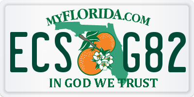 FL license plate ECSG82