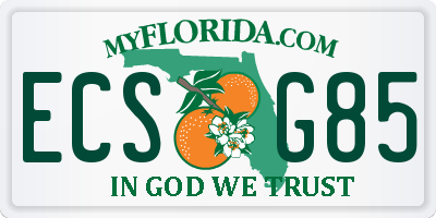 FL license plate ECSG85