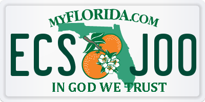 FL license plate ECSJ00
