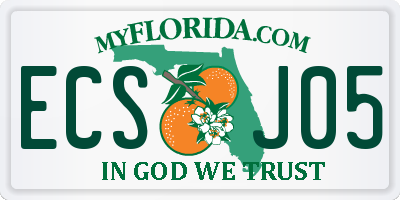 FL license plate ECSJ05
