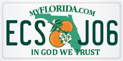 FL license plate ECSJ06
