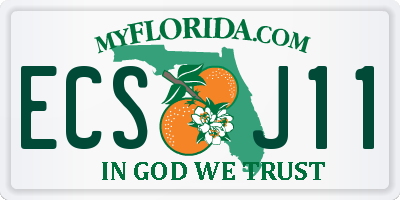 FL license plate ECSJ11