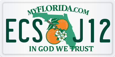 FL license plate ECSJ12