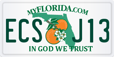 FL license plate ECSJ13