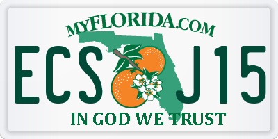 FL license plate ECSJ15