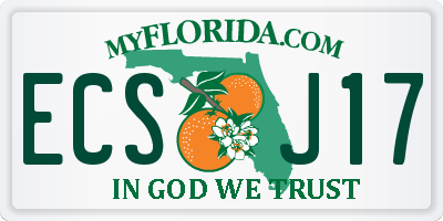 FL license plate ECSJ17