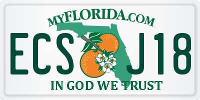 FL license plate ECSJ18